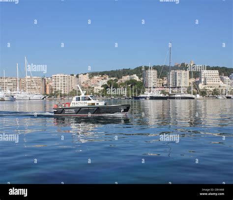 lutron marine palma de majorca|Marinas in Mallorca (Majorca).